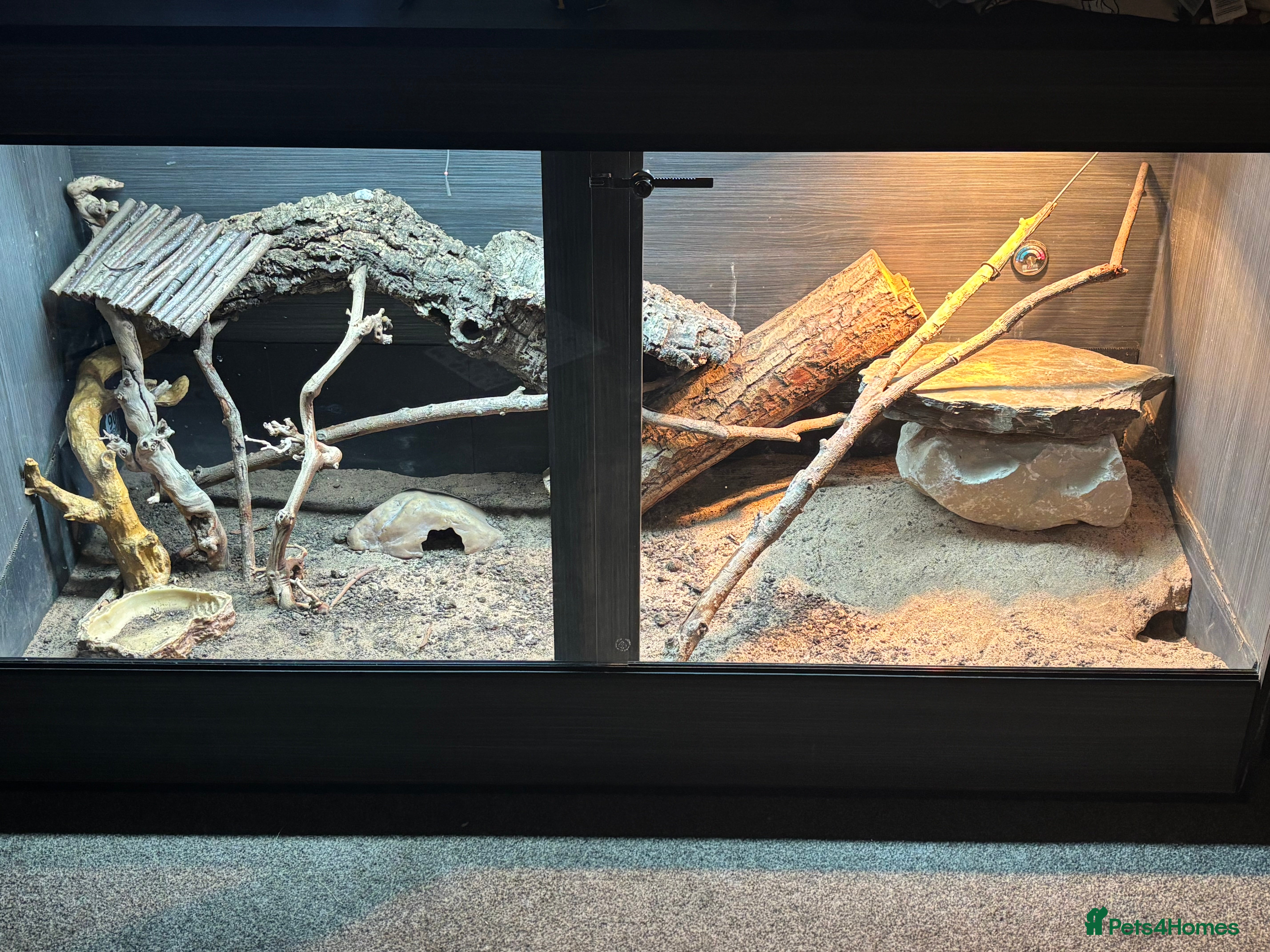 Monitor reptiles Aki monitor setup in Walsall - Advert 1