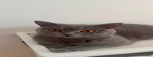 Stormy