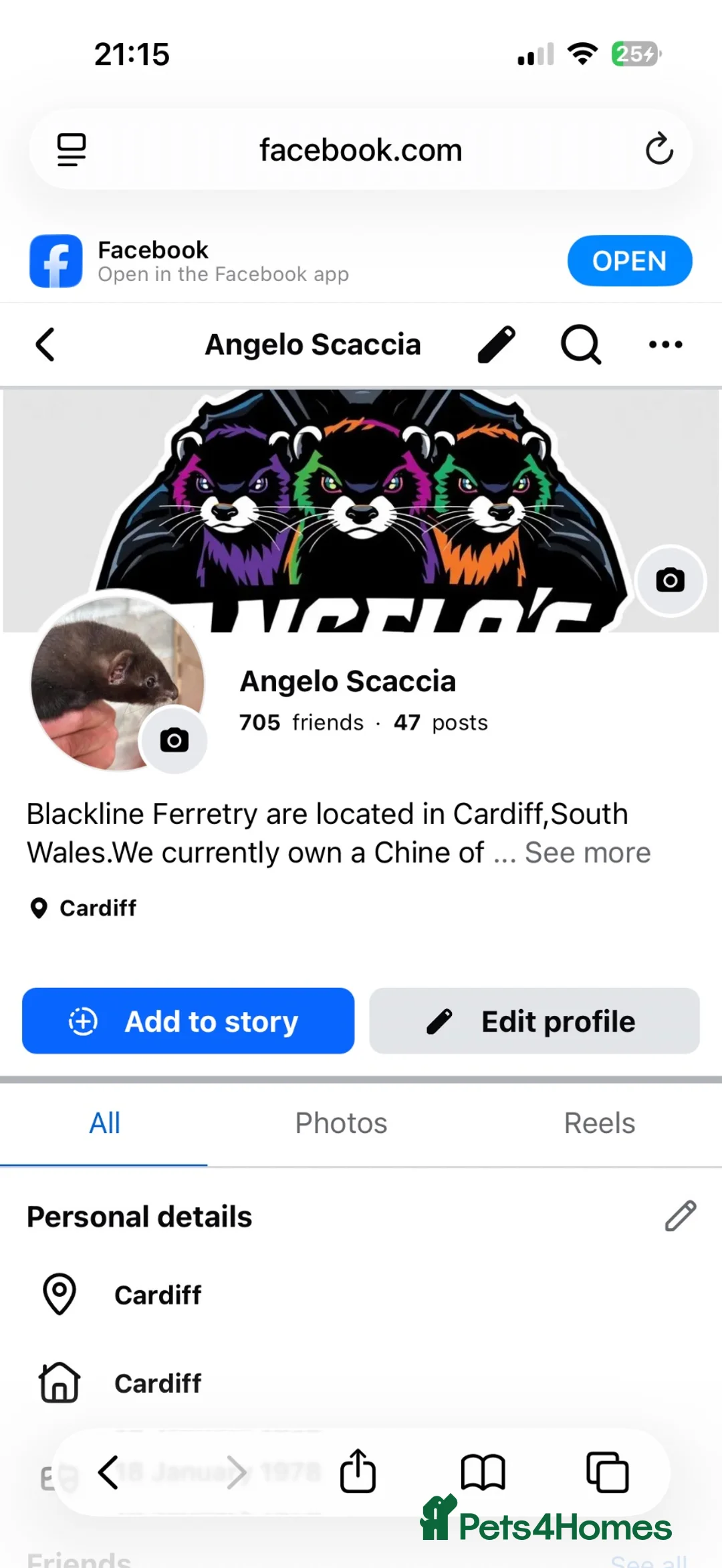 Ferret rodents for sale: Black ferrets  - Advert 2