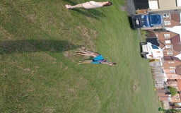 Lurcher dogs for sale: Narla for a new home. - Image 3