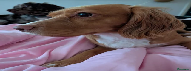 Vy