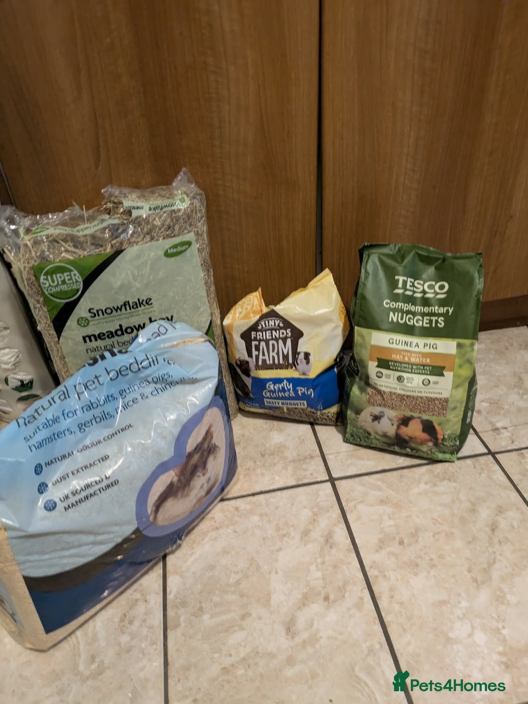 Guinea Pig rodents for sale: 3 gorgeous male guinea pigs for sale - Advert 5