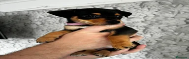 Betsy 