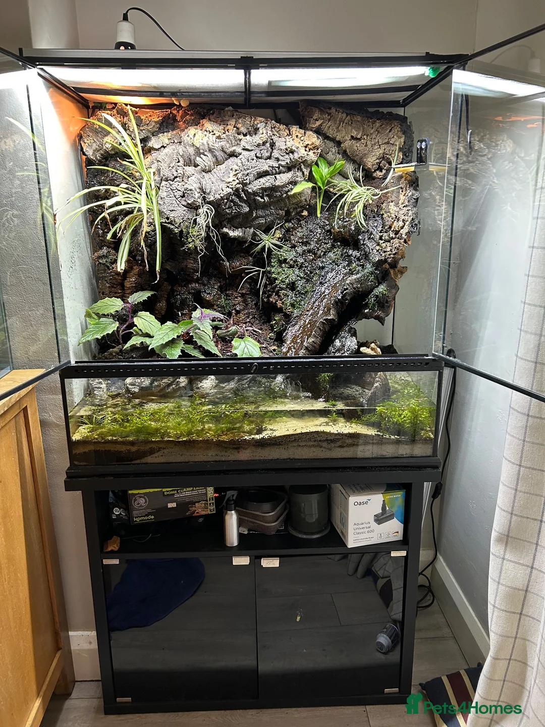 Gecko reptiles for sale: Bioactive Paludarium  - Advert 2