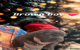 Mixed Breed dogs for sale: Malamute / Labrador pups  - Advert 7