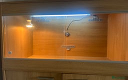 Leopard Gecko reptiles for sale: Leopard Gecko vivarium full set up - Image 2