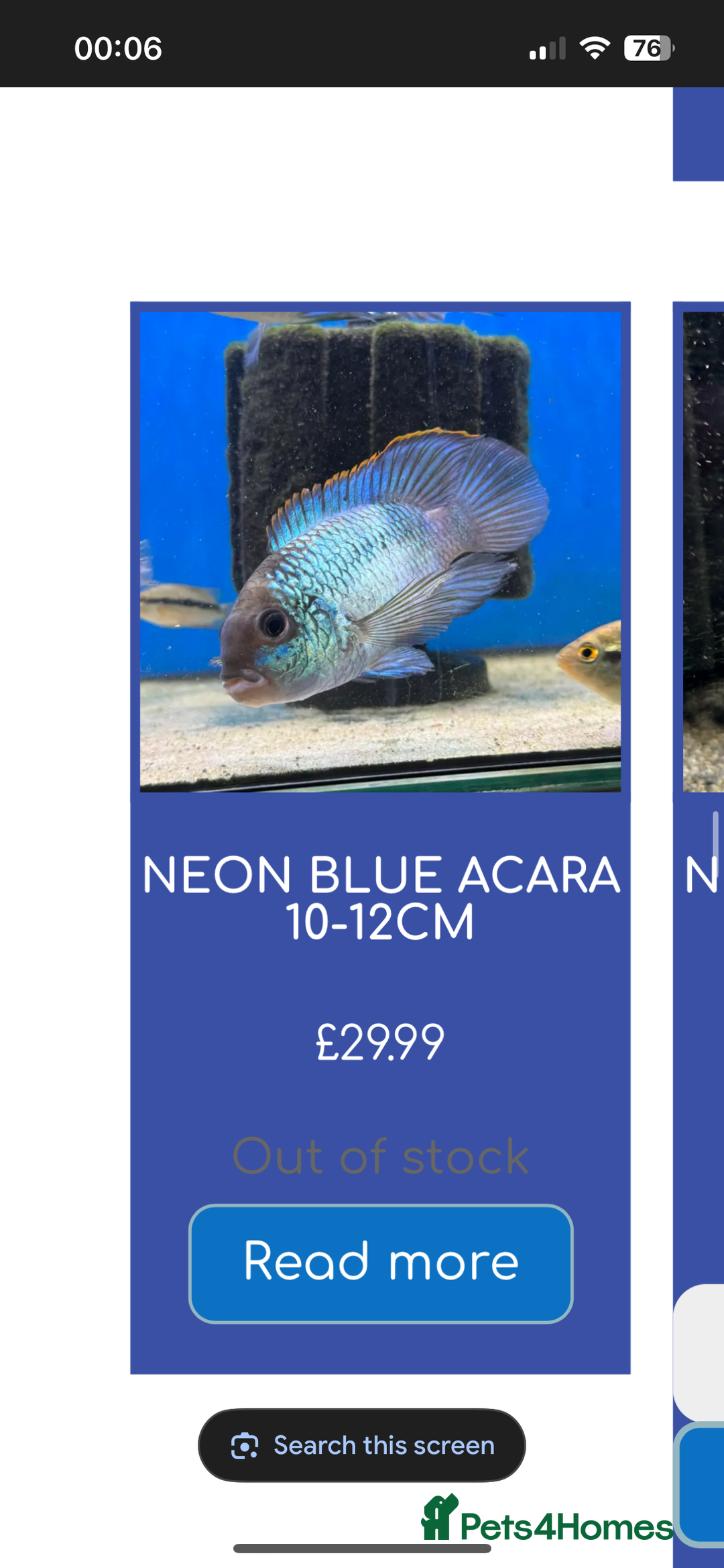 Cichlids fish for sale: 420l tank set up, loads of tropical fish - Image 5