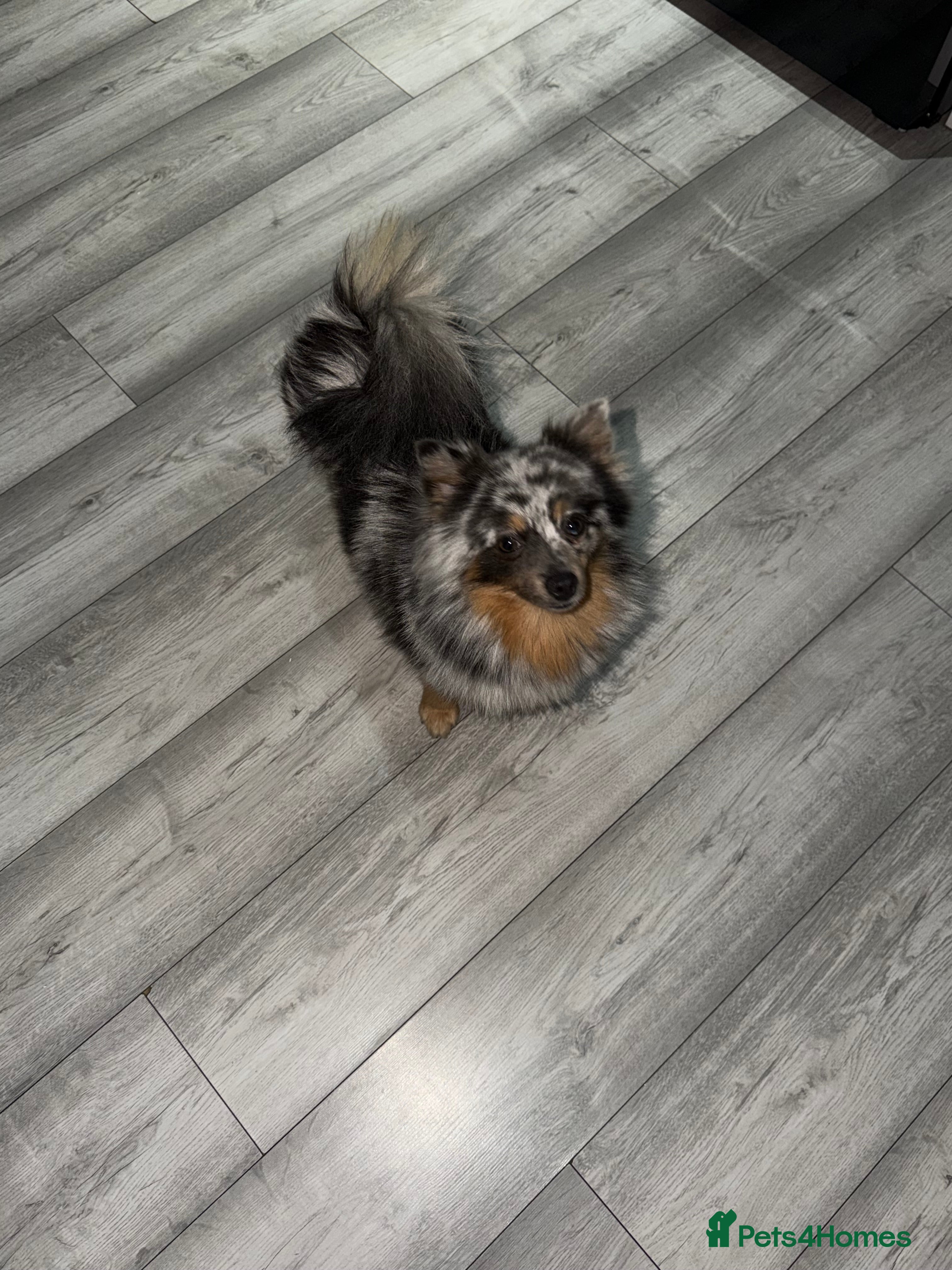 Winnie