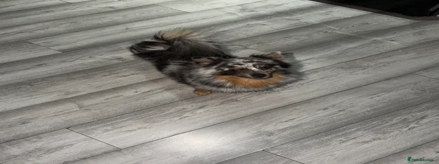 Winnie
