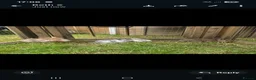 Mixed Breed rabbits for sale: Fluffy lionhead cross rabbits - Advert 6