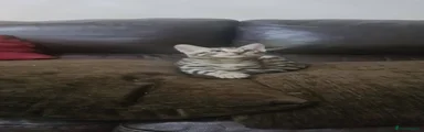 Bengal 1