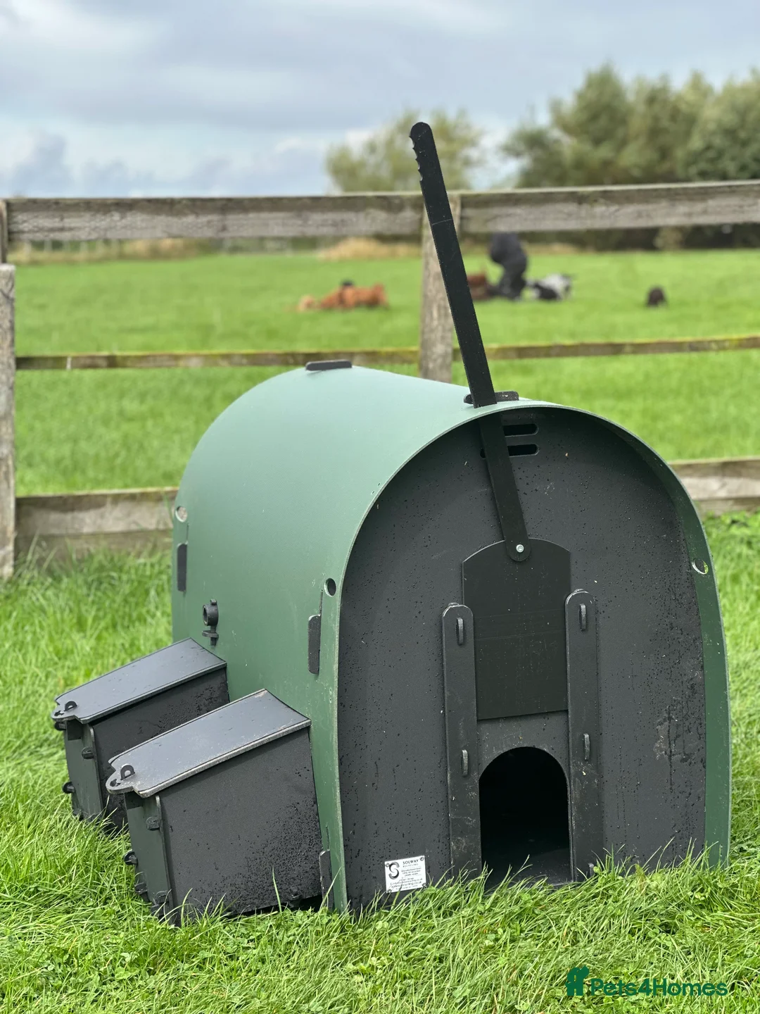 Chickens poultry for sale: Recycled Coop Run only  NO maintenance - Advert 17