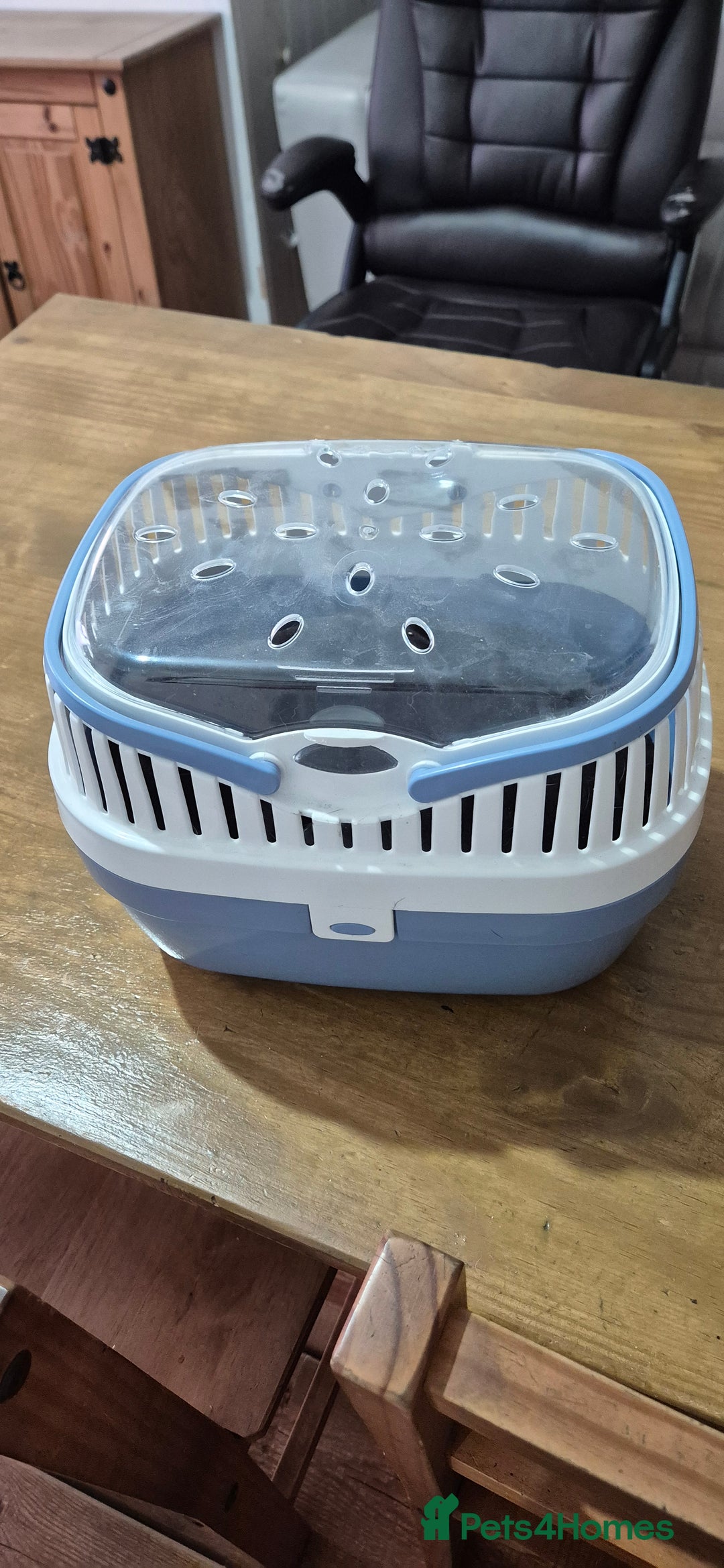 Rat rodents for sale: Pet rats with cage and accessories  - Advert 11