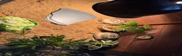 Tortoise reptiles for sale: 2 Horsefield Tortoises with set up and equipment  - Advert 2