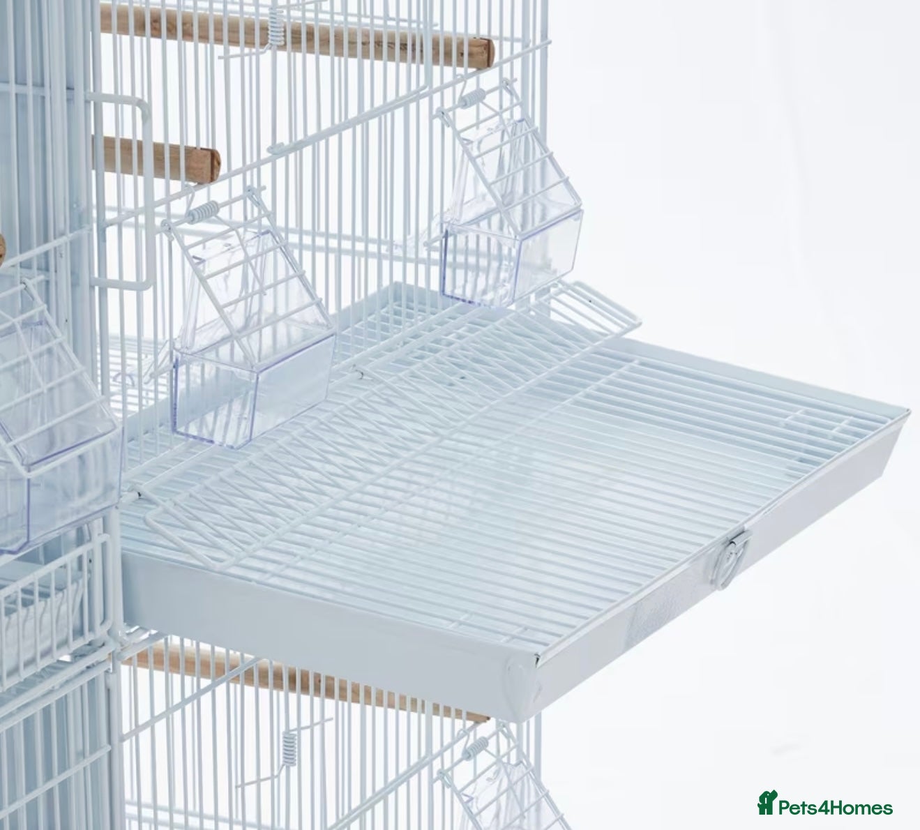 Canaries birds for sale: birdcage in Leeds - Advert 2