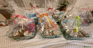 Maltipoo dogs Gorgeous Maltipoo F1b  - Advert 6