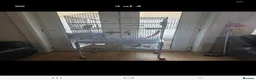 Cockatiels birds for sale: Cockatiel  in Bradford - Advert 3