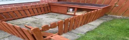 Dwarf Lop rabbits for sale: Bugsy  - Advert 9