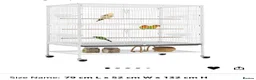 Budgerigars birds for sale: 3 male budgies with cage & toys - Advert 3