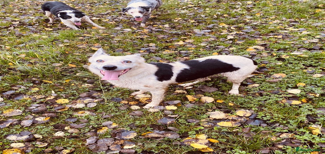 Gallery Image {{count}}