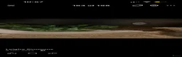 Python Snake reptiles for sale: Royal Python  - Advert 2