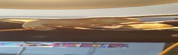 Chameleon reptiles for sale: Veiled chameleons  - Advert 6