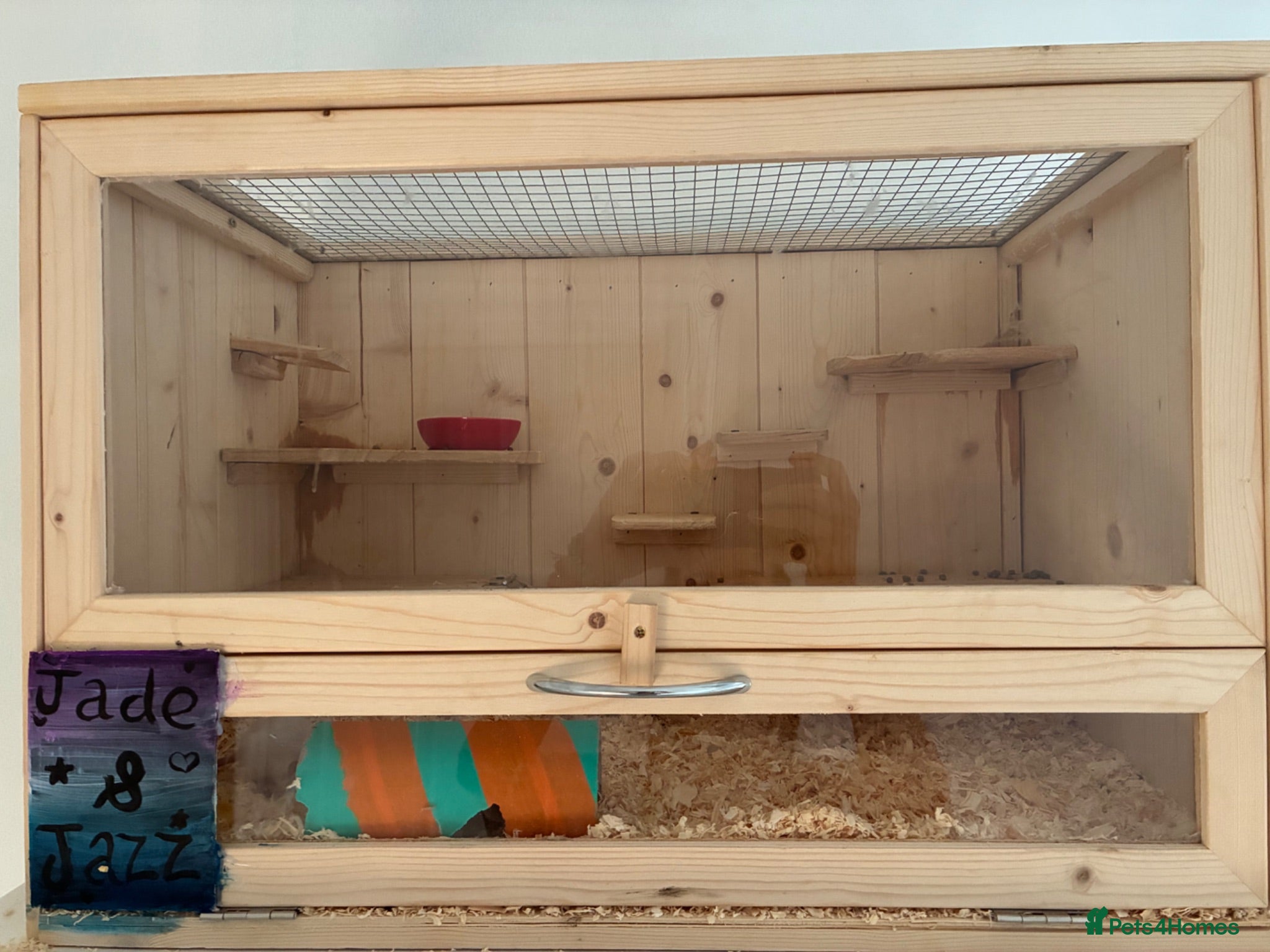 Mouse rodents 2 fancy mice and pawhut cage - Advert 3
