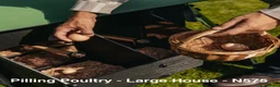 Chickens poultry for sale: Pilling Poultry - Large House - Poultry - Advert 7