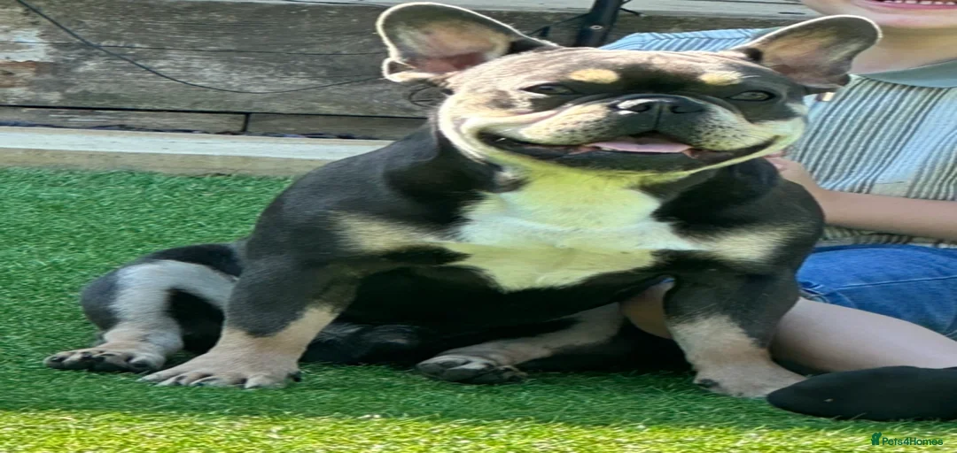 Gallery Image {{count}}