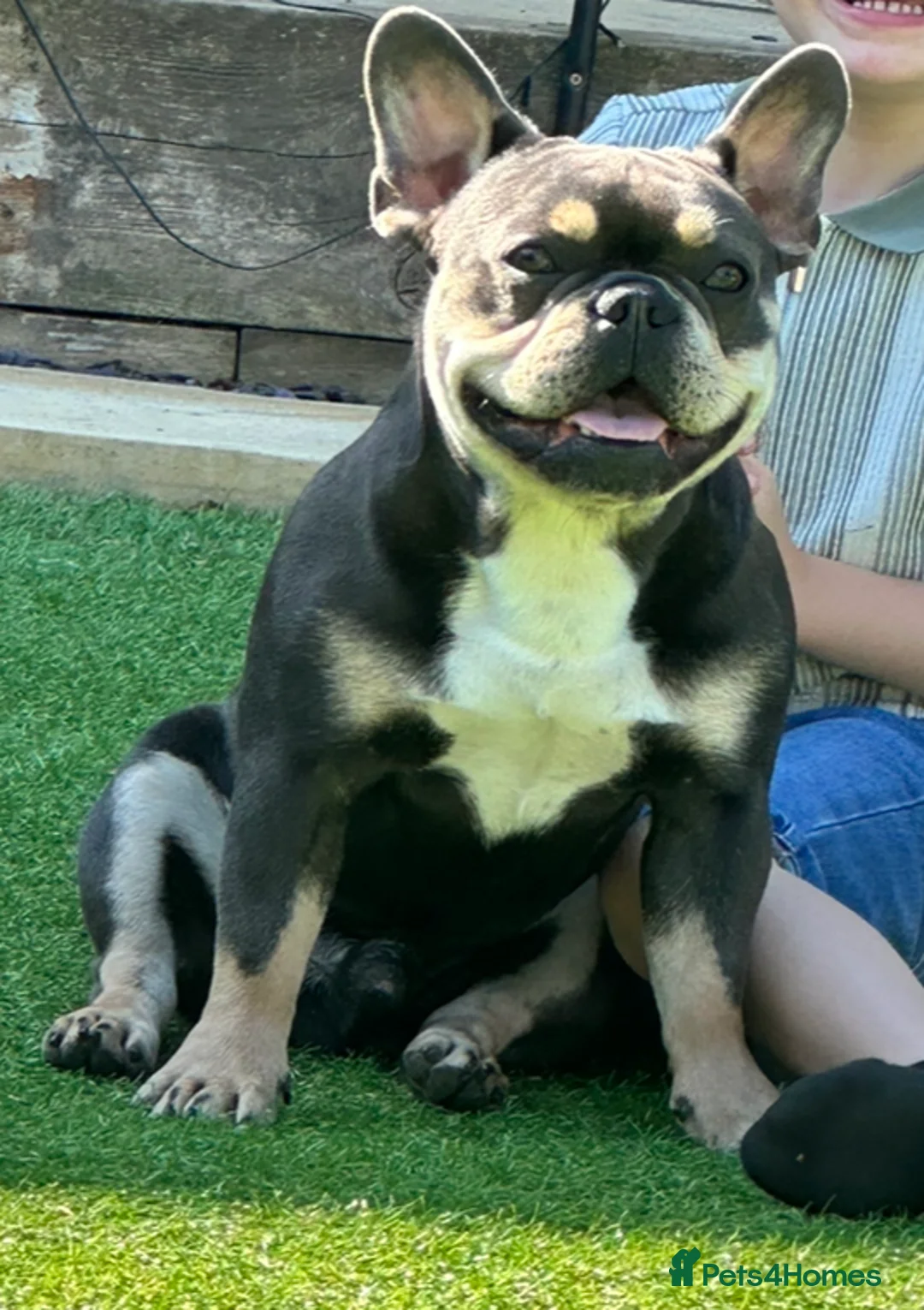 Gallery Image {{count}}