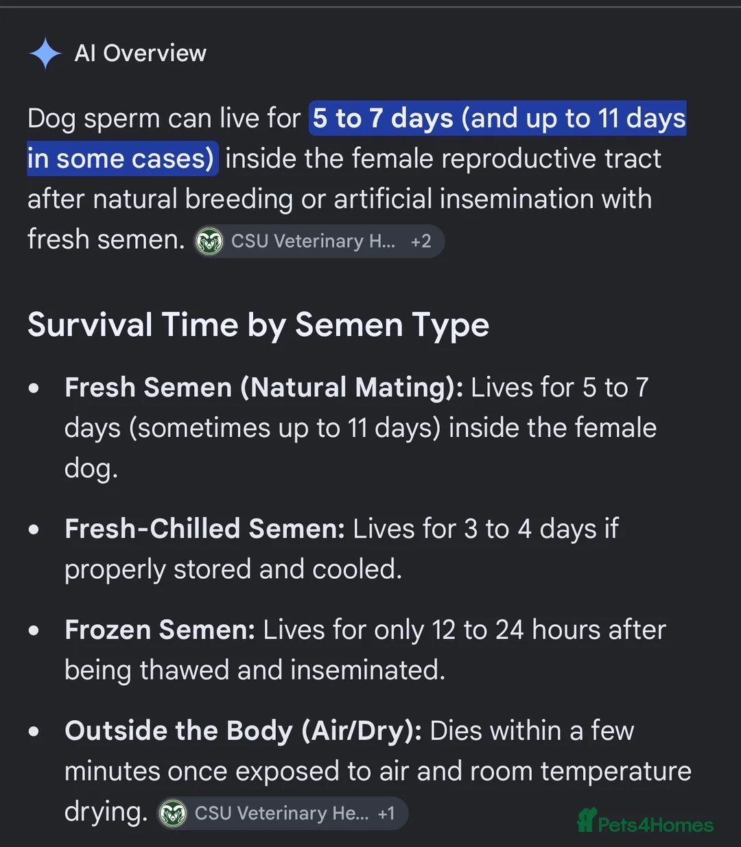 Cockapoo dogs for sale: F1b Cockapoo puppies. Parents health tested  - Advert 8