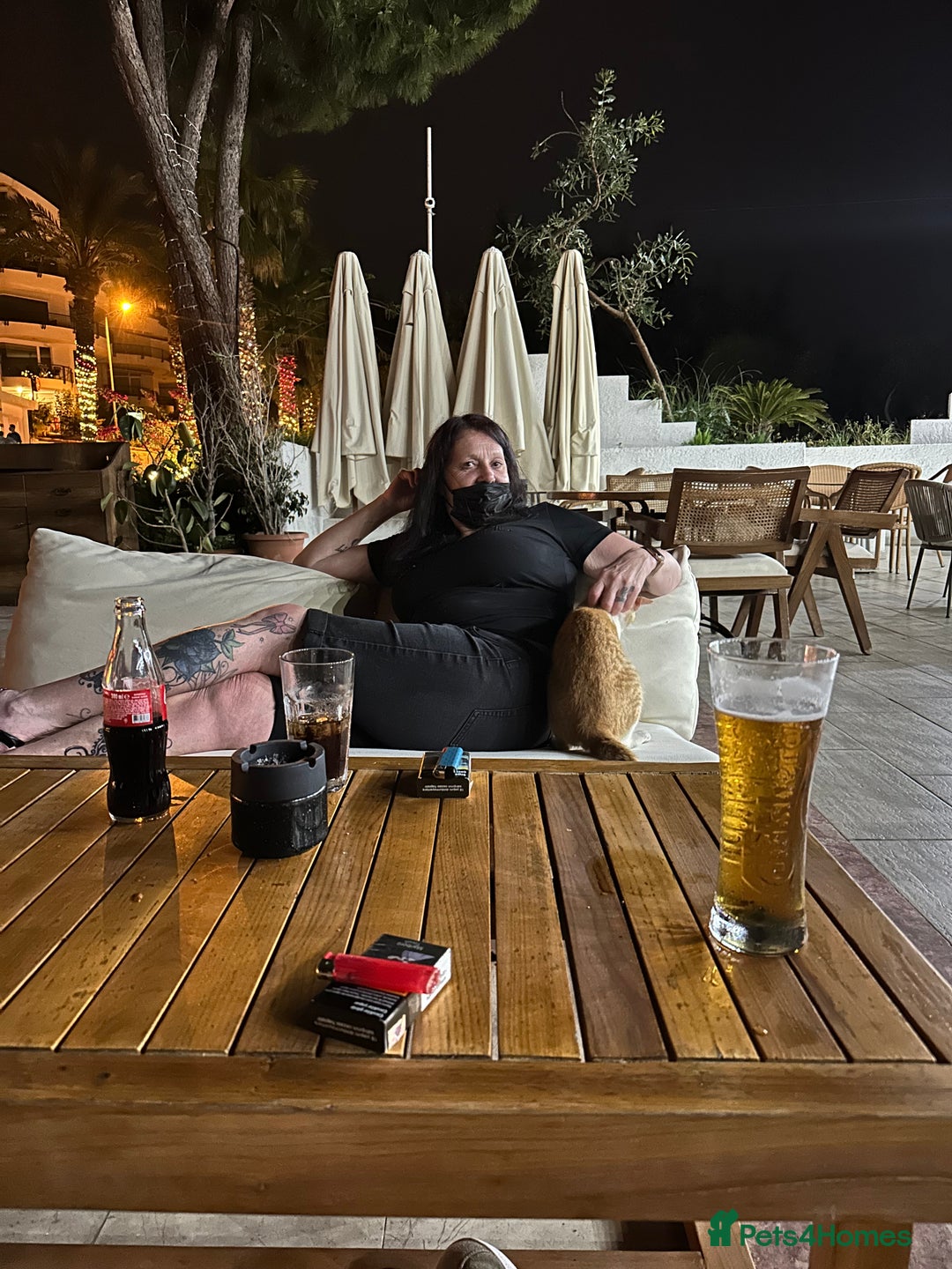 German Shepherd dogs for sale: Beautiful Blue and Black GSD puppies - Advert 13