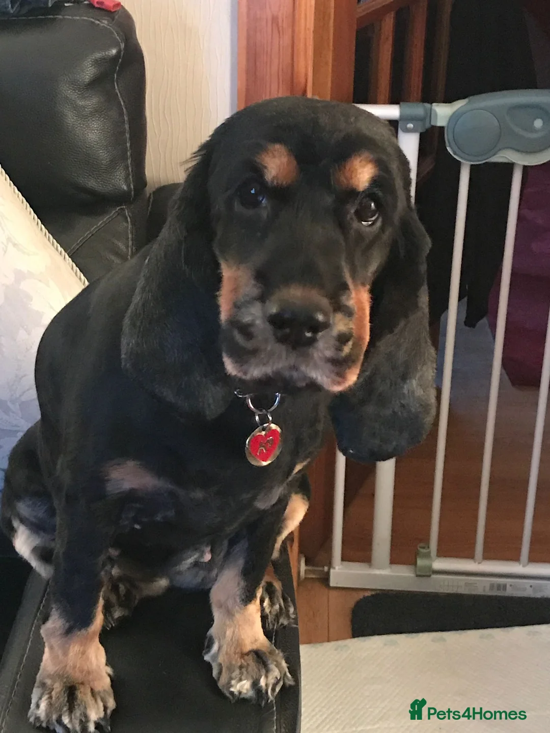 Gallery Image {{count}}