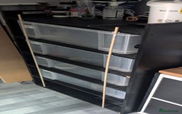 Python Snake reptiles for sale: Ball Pythons & Racks  - Image 7