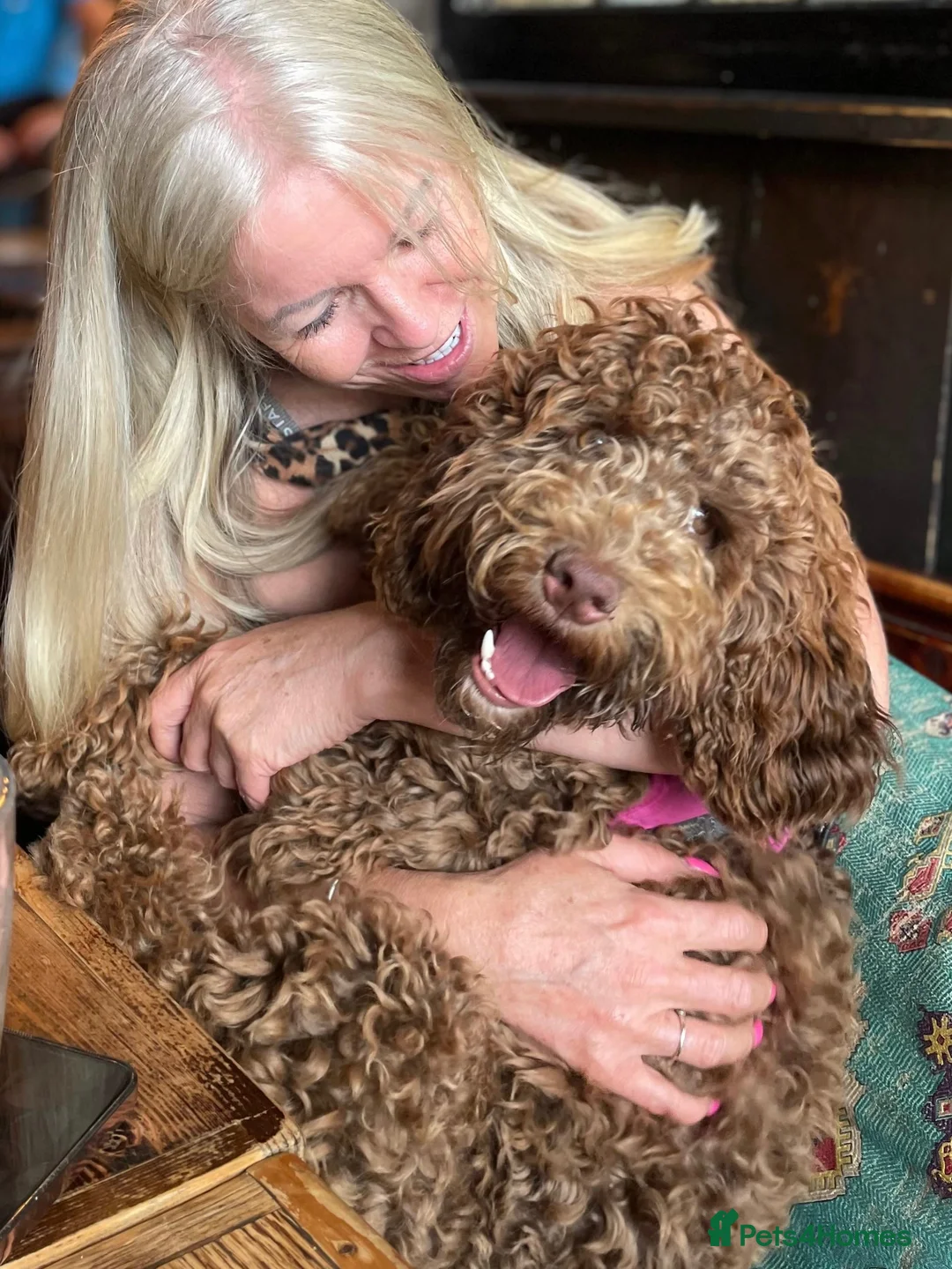 Gallery Image {{count}}