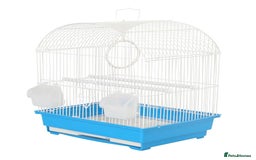 Budgerigars birds for sale: Budgies for Sale Many colours Cages Available  - Image 10