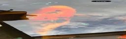 Koi Carp fish for sale: Koi carp x 4 1 grass carp 2 tri goldfish 7 fish  - Advert 5