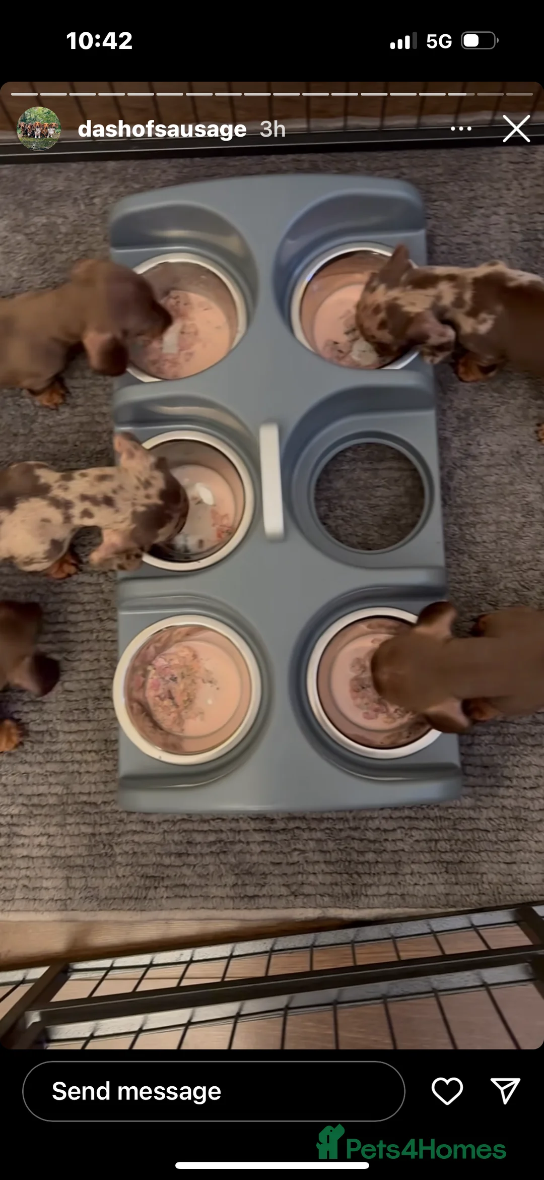 Gallery Image {{count}}