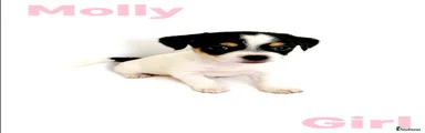 Molly