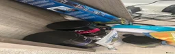 Cichlids fish for sale: Eheim vivaline 240 full set up & fish in Plymouth - Advert 6