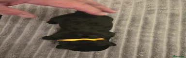 Yellow Collar