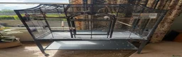 Budgerigars birds for sale: Large cage & 3 Budgies   in Bristol - Advert 3