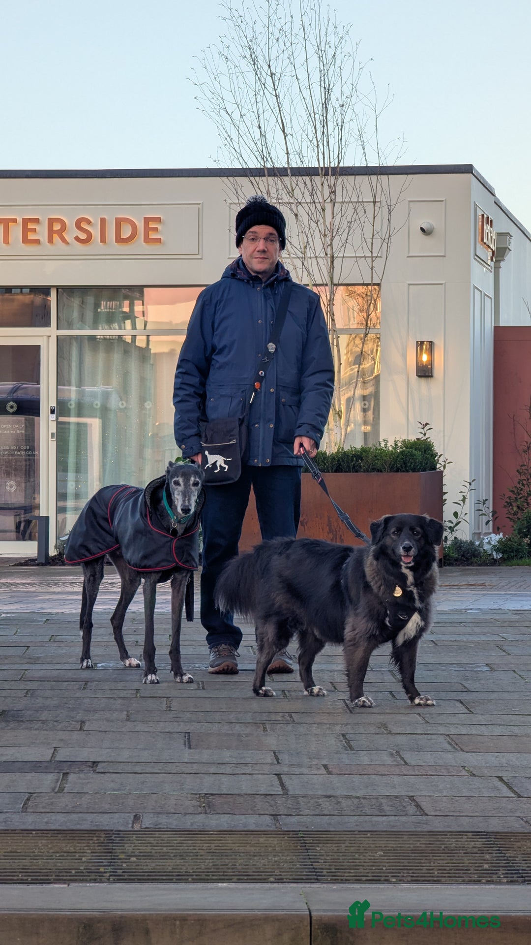 Mixed Breed dogs for adoption: Ruskin - 8 years old, Female, Mixed Breed - Advert 9