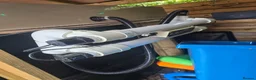 Koi Carp fish for sale: Full pond setup for sale - Advert 2