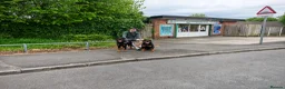 Rottweiler dogs for stud: Rottweiler for stud full pedigree, health tested  - Advert 4