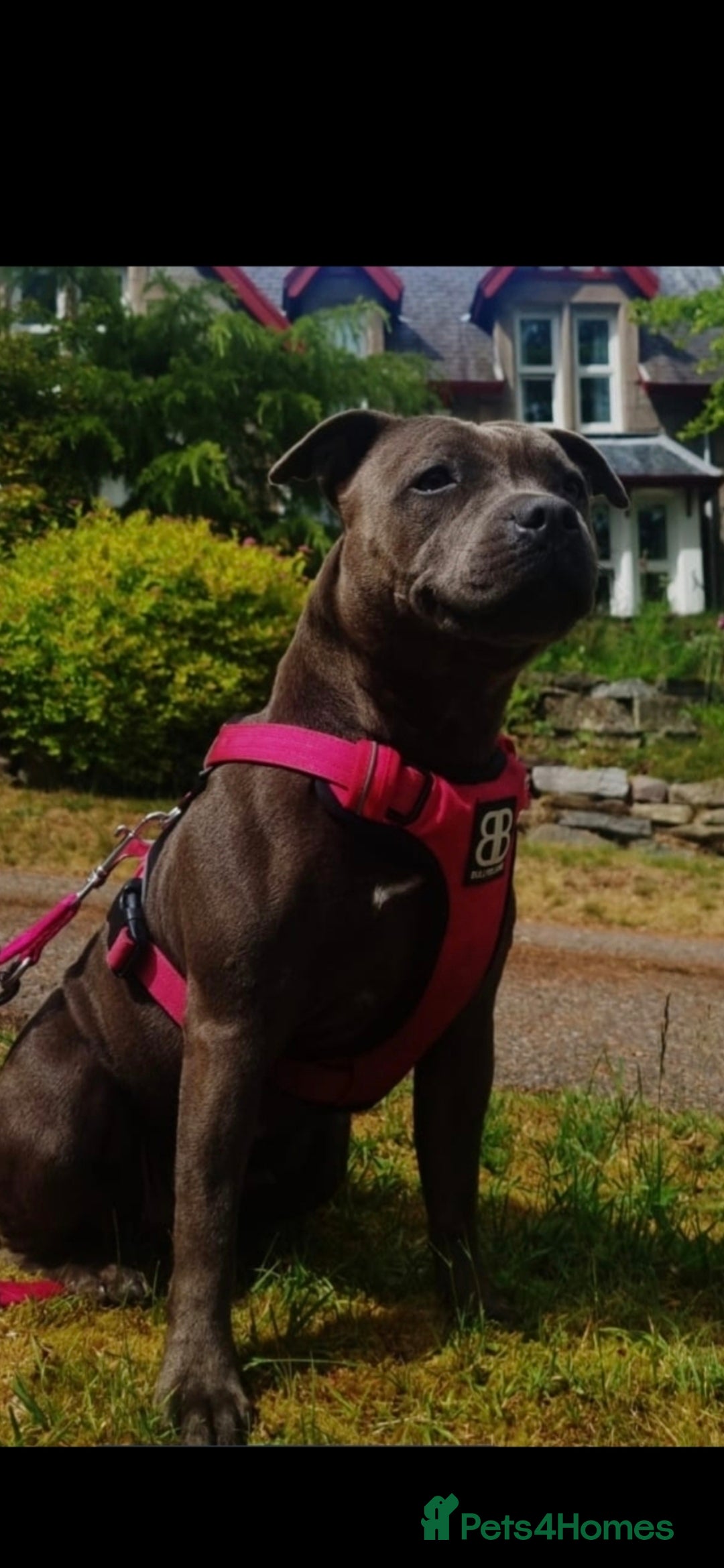NALA