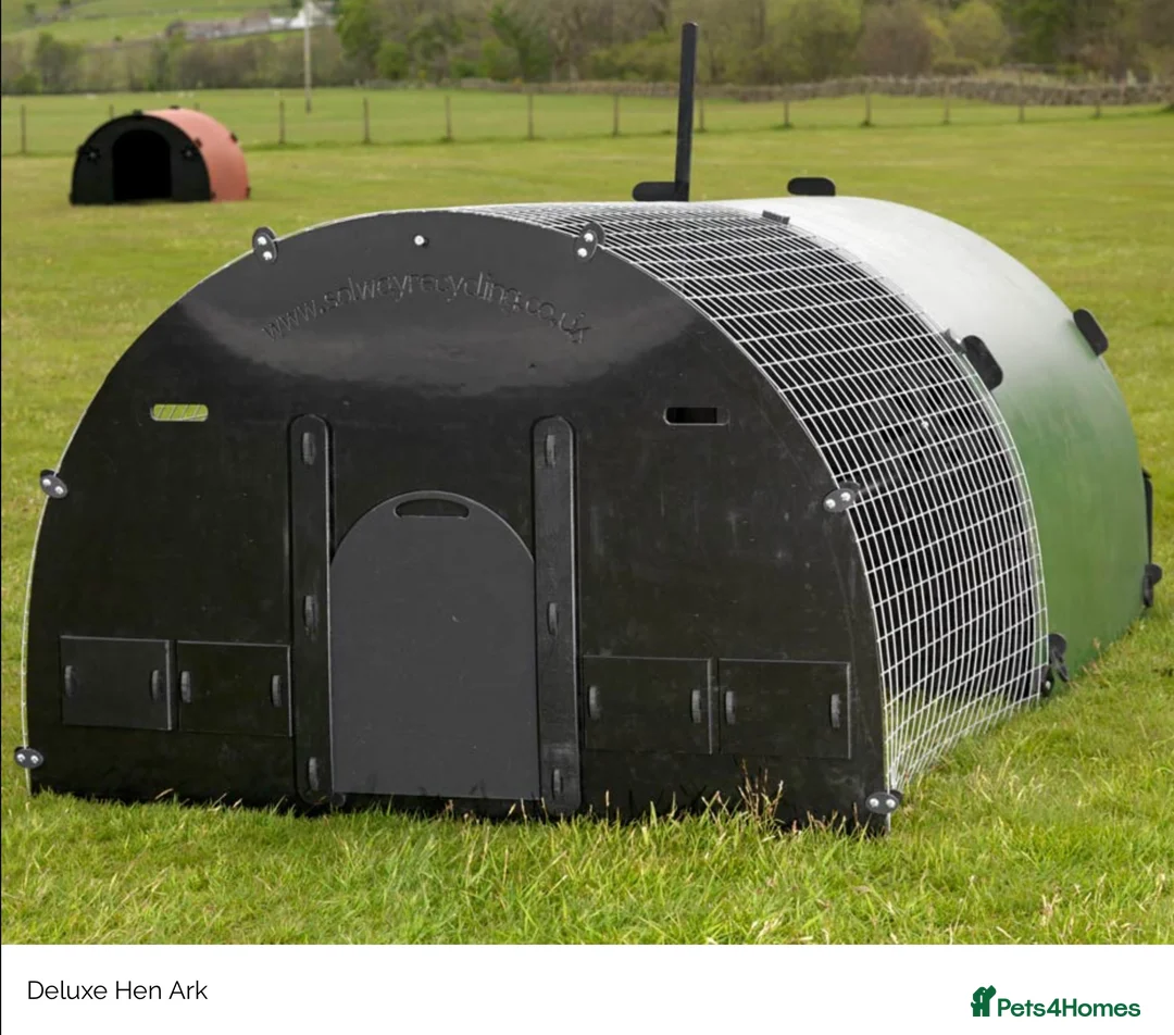 Mixed Breed poultry for sale: Deluxe Eco Hen Ark c/w Run - Recycled - 10/18 Hens - Advert 1