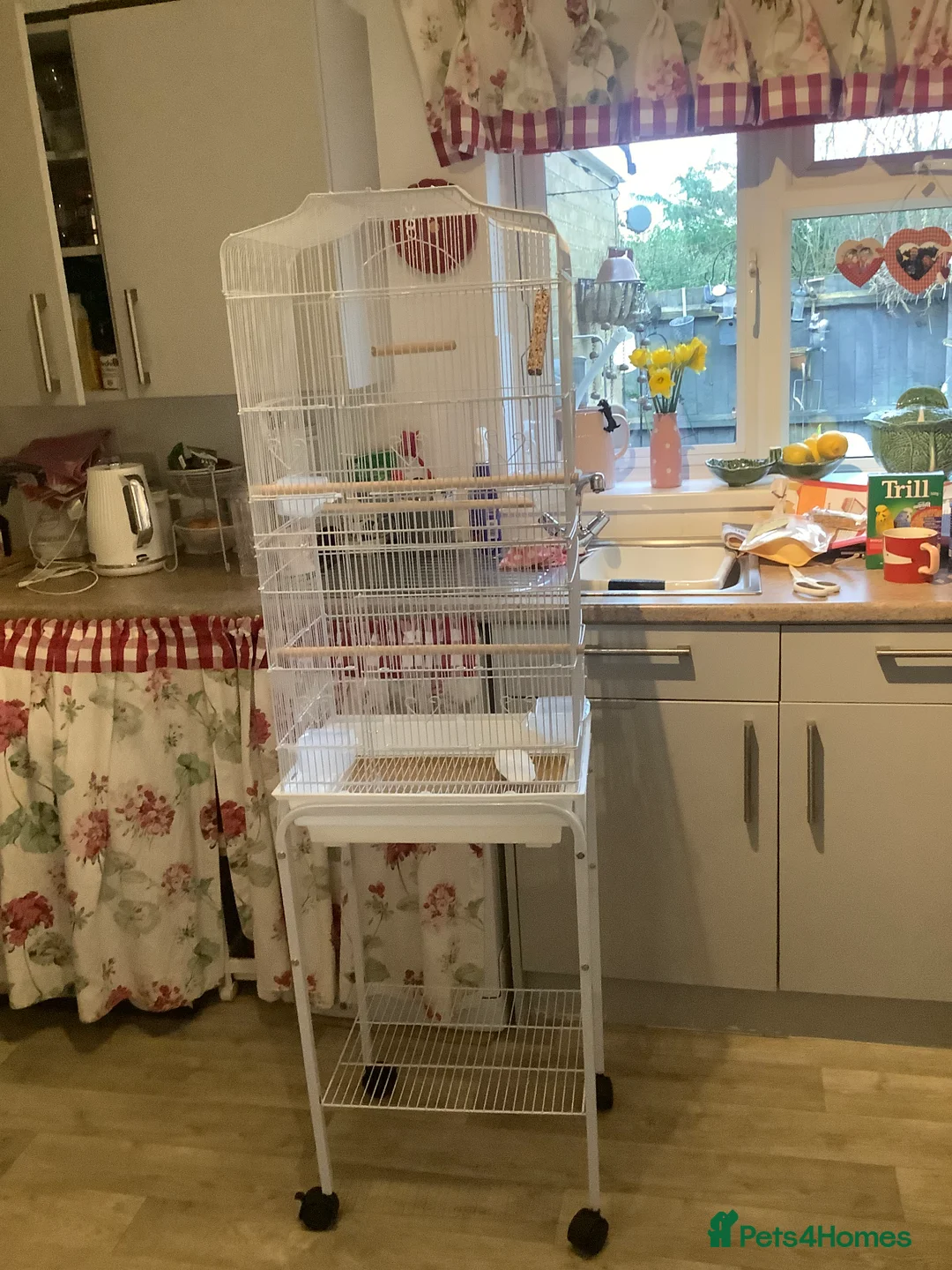 Budgerigars birds for sale: Bird cage on wheels  - Advert 2
