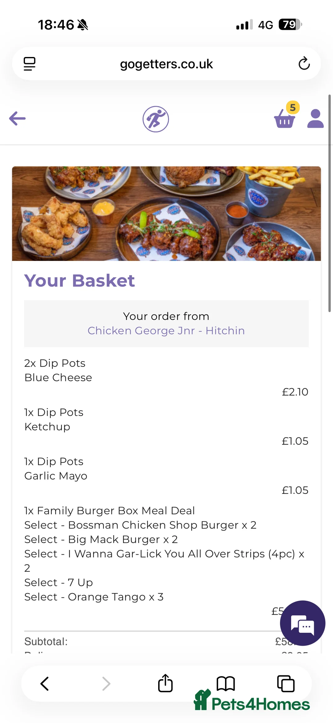 Cockapoo dogs for sale: Beautiful red cockapoo puppies ready now - Advert 3