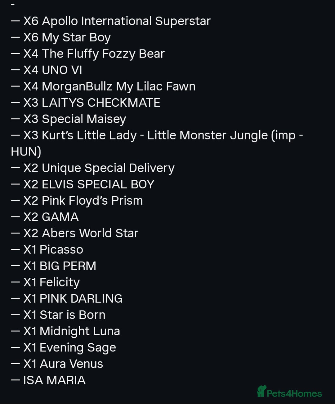 French Bulldog dogs for sale: HIGH QUALITY FLUFFY FRENCHIES  - Advert 2